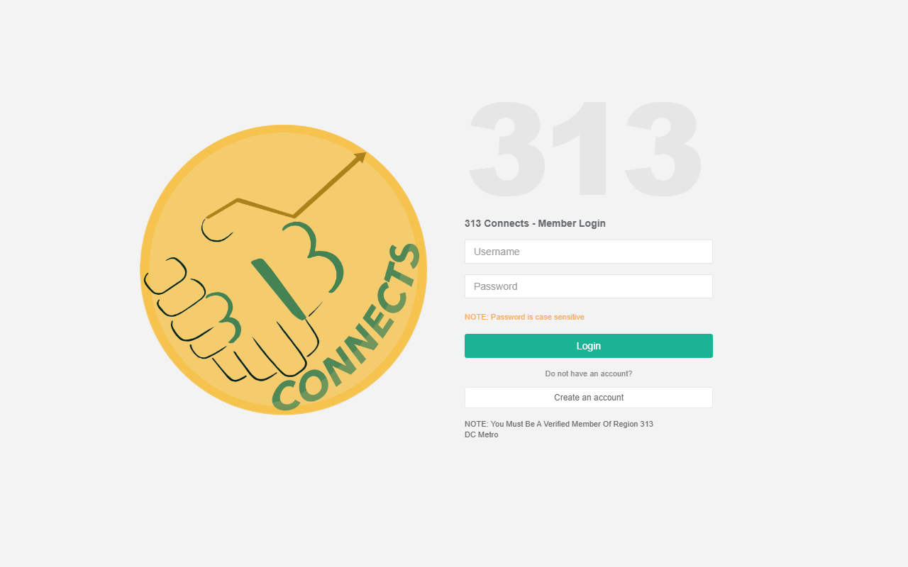 313connects.com screenshot