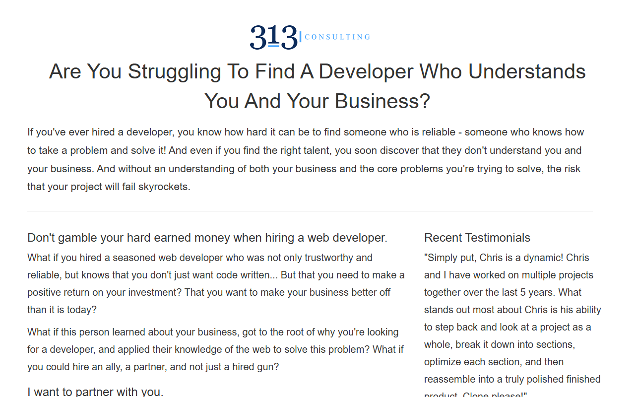 313consulting.com screenshot