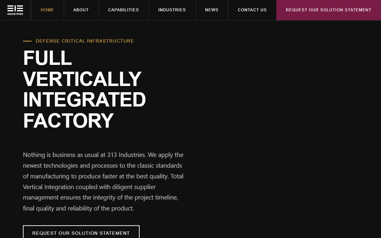 313defense.com screenshot