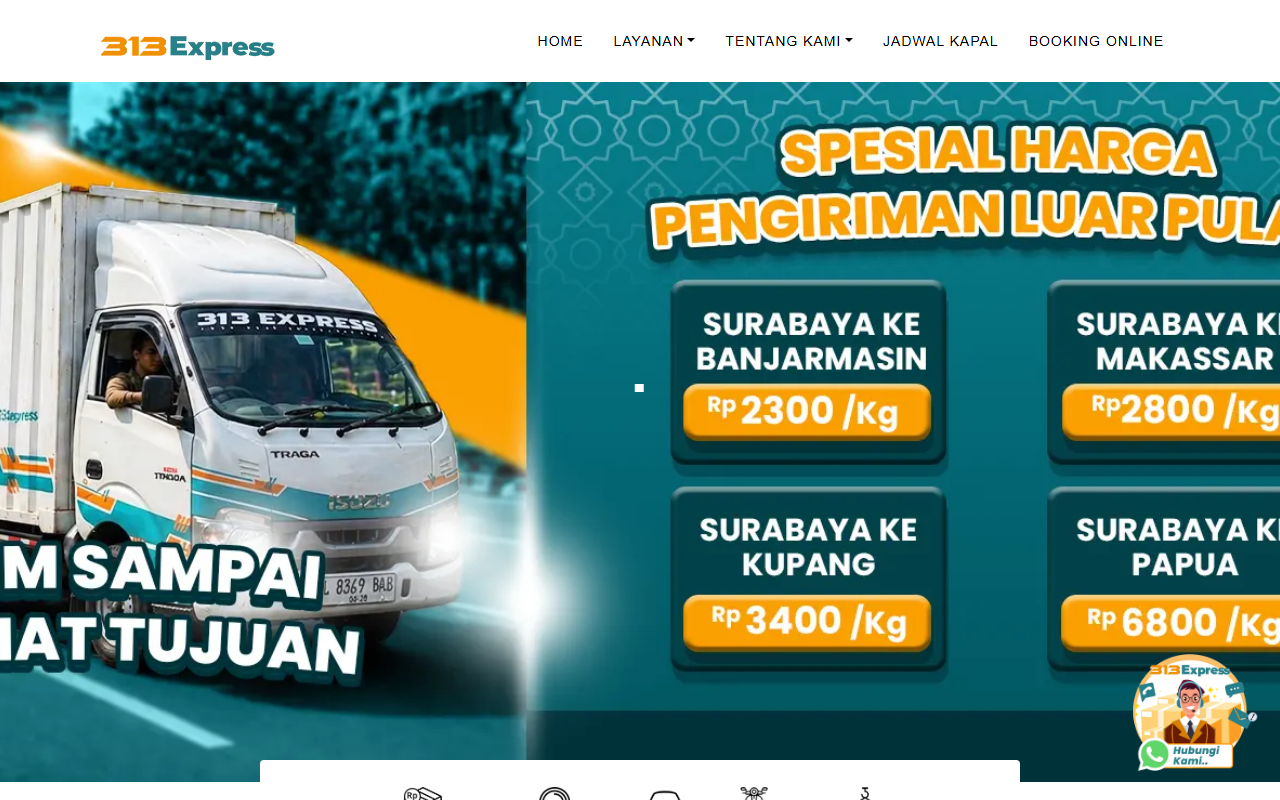 313express.com screenshot