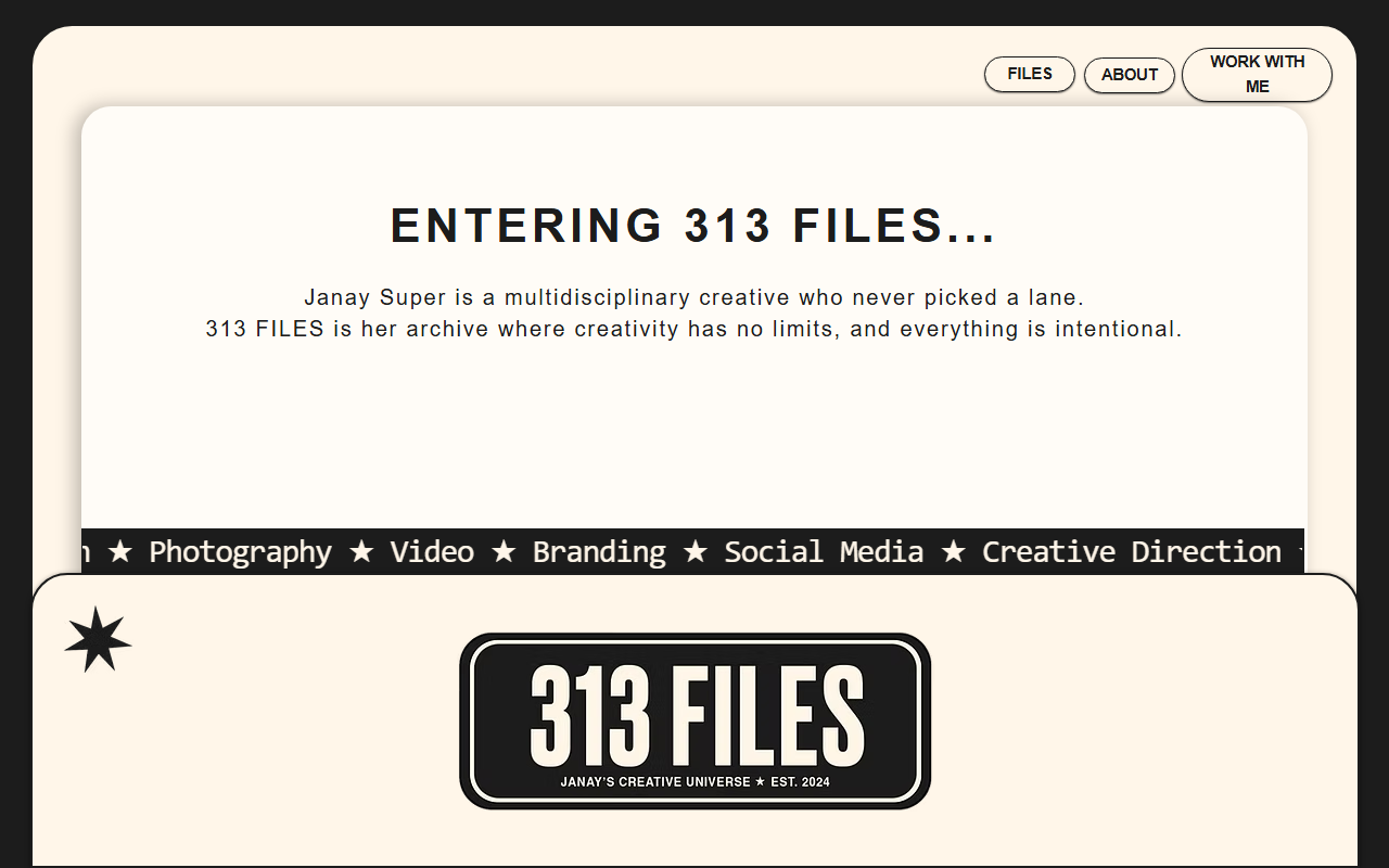 313filesco.com screenshot