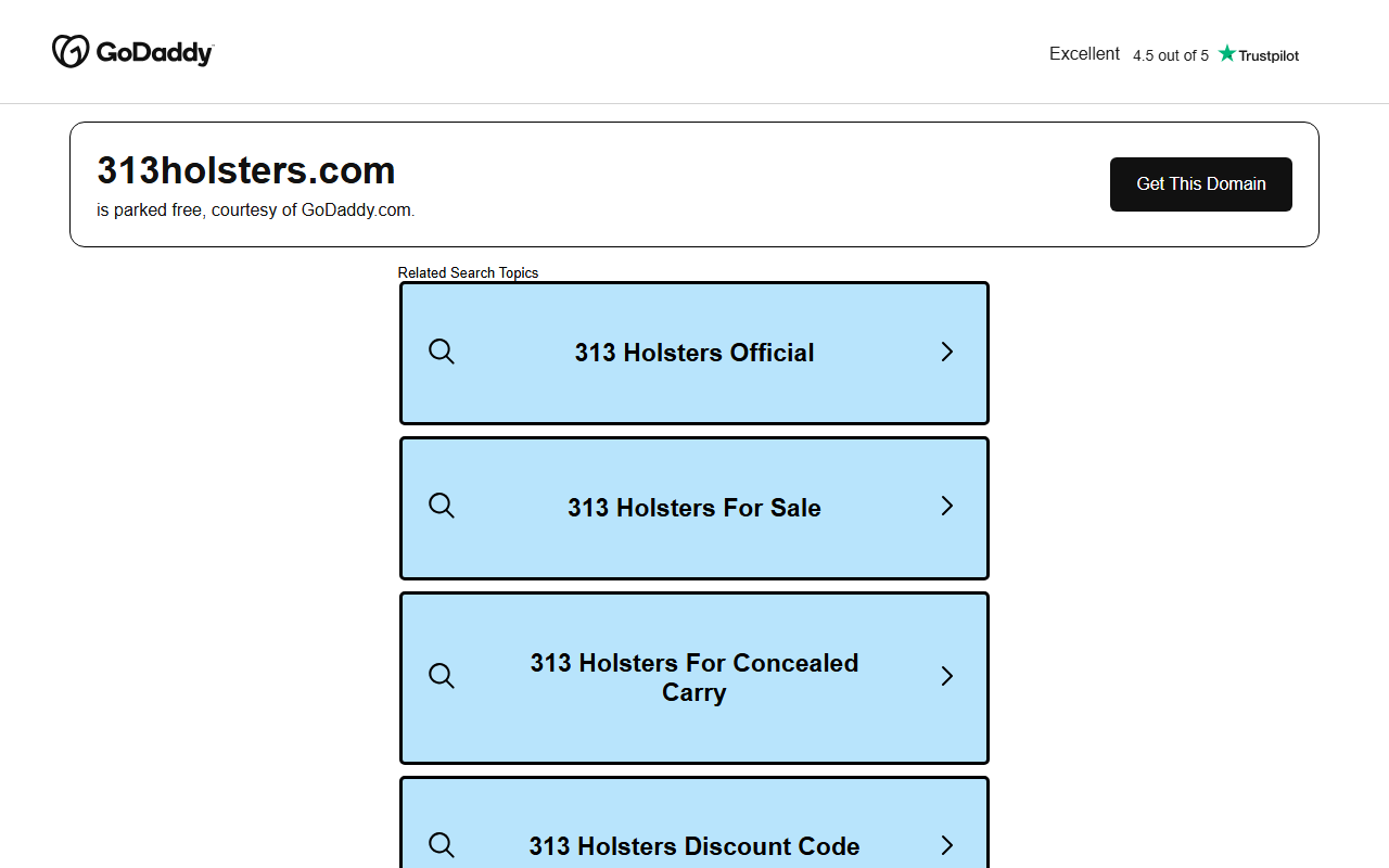 313holsters.com screenshot