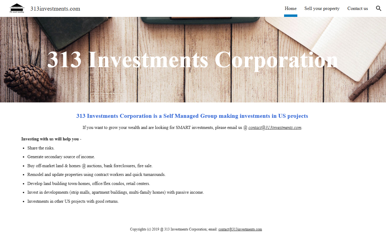 313investments.com screenshot