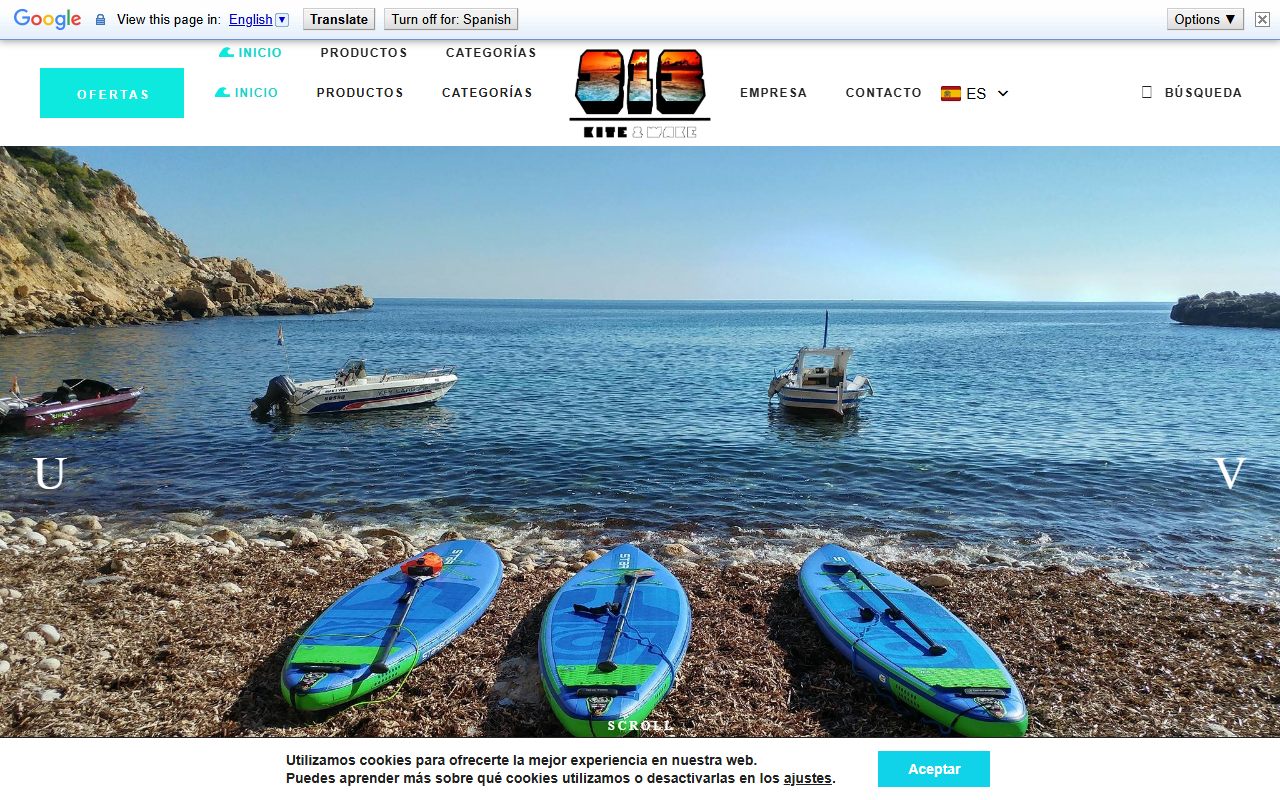 313kiteandwake.com screenshot
