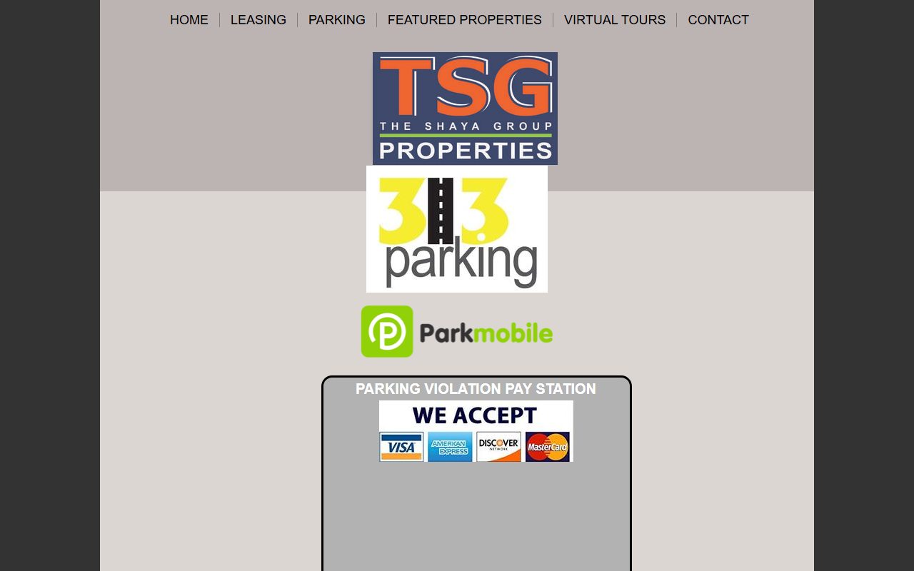 313parking.com screenshot