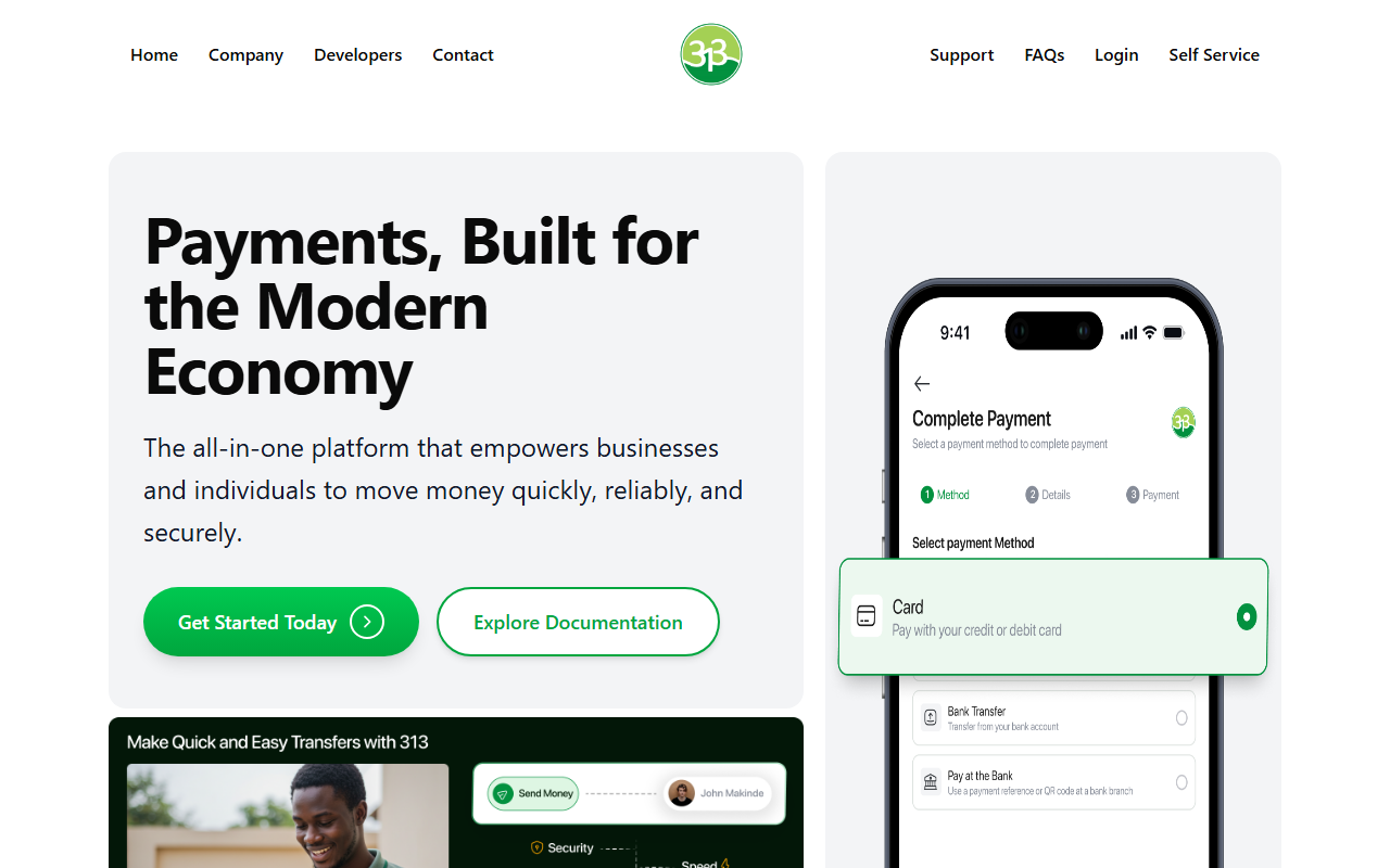 313payments.com screenshot