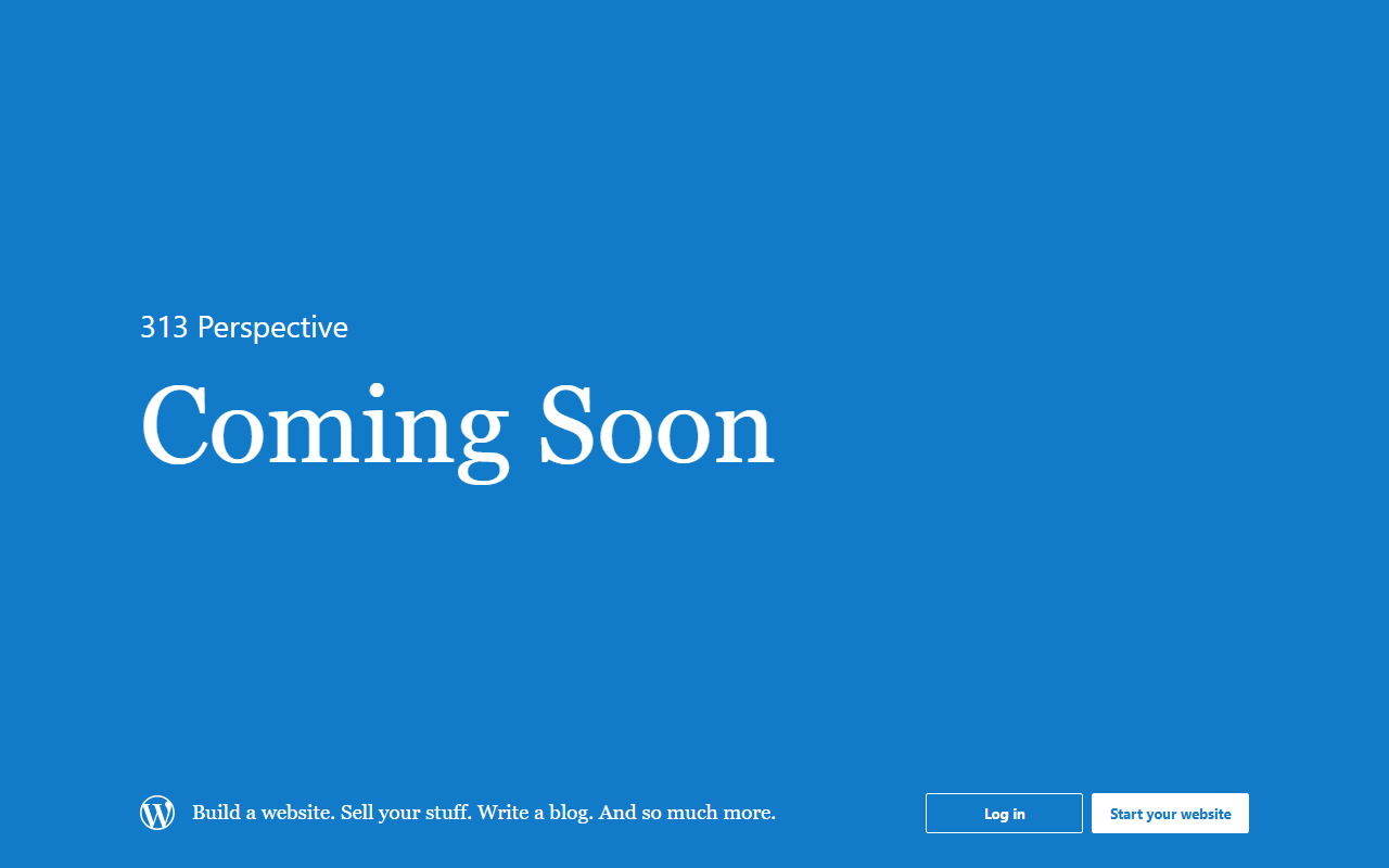 313perspective.com screenshot