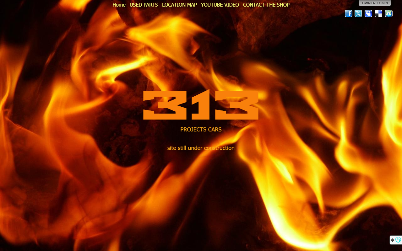 313projectshop.com screenshot