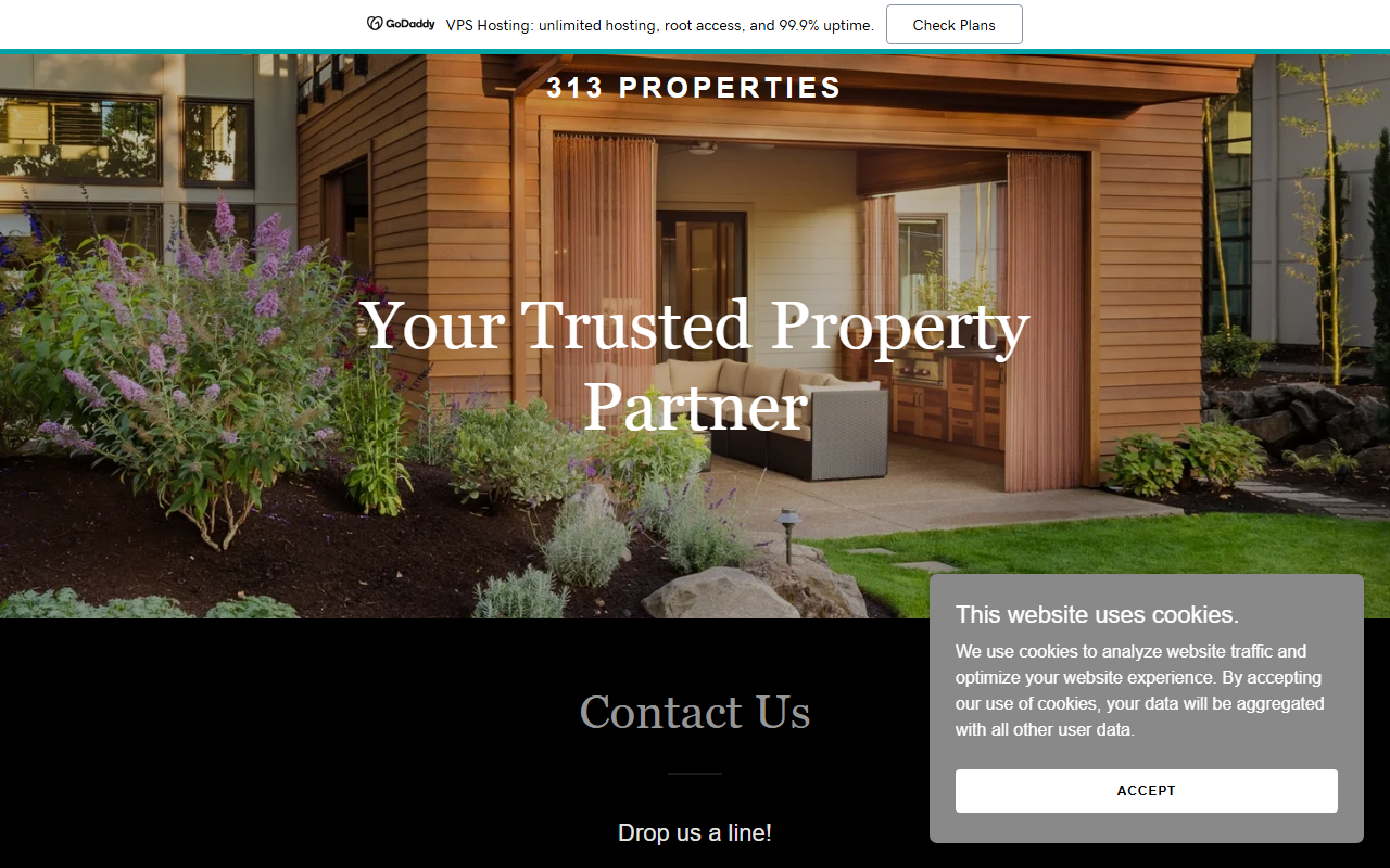 313properties.com screenshot