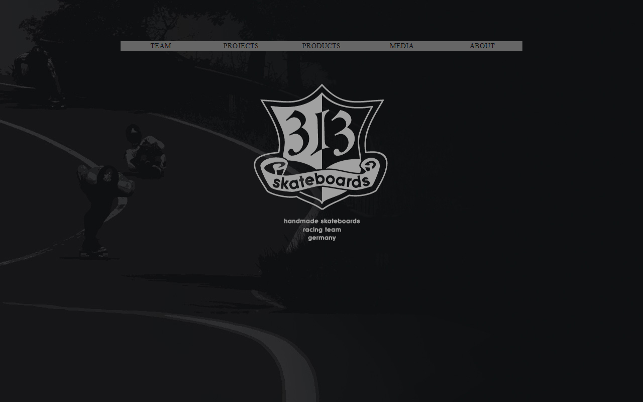 313skateboards.com screenshot