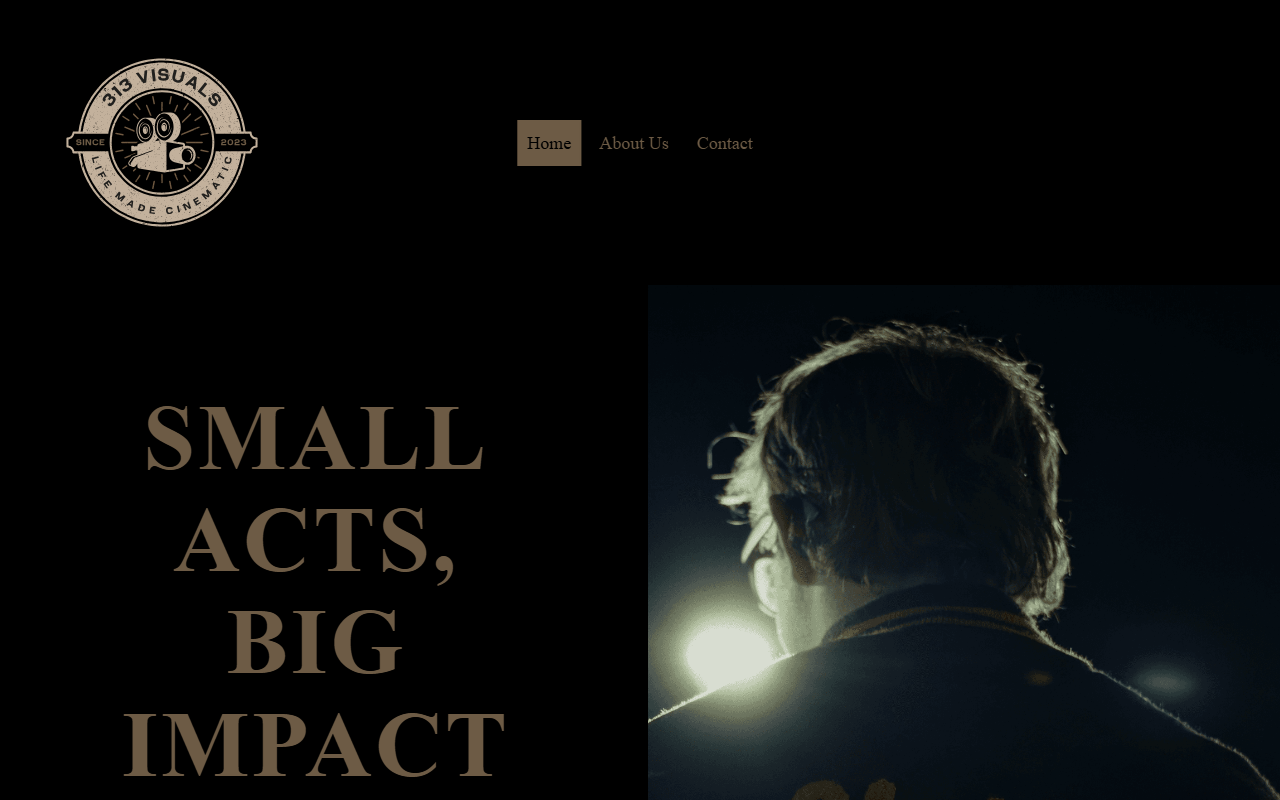 313visuals.com screenshot