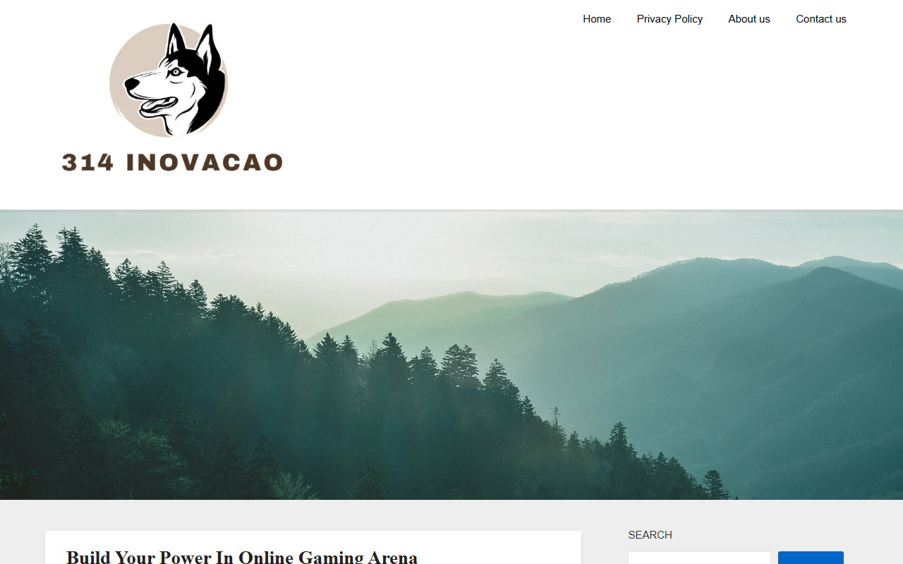 314inovacao.com screenshot