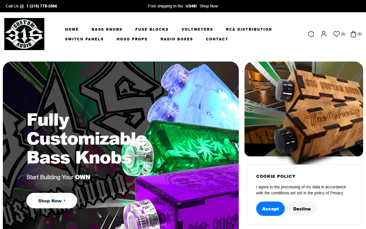 315customaudio.com screenshot