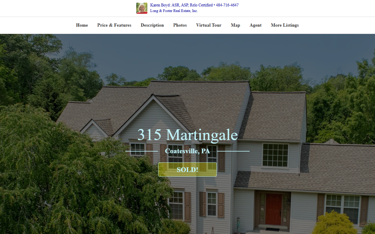 315martingale.com screenshot