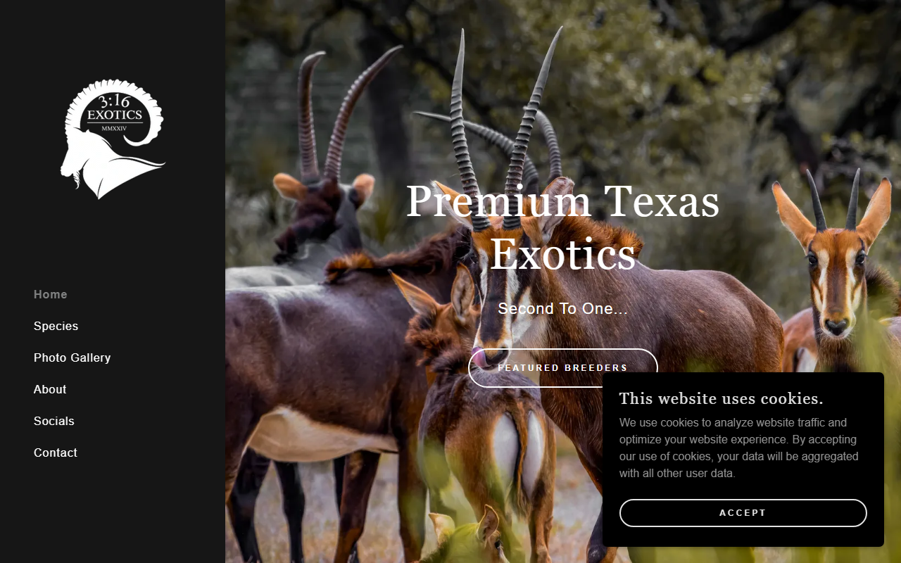 316-exotics.com screenshot