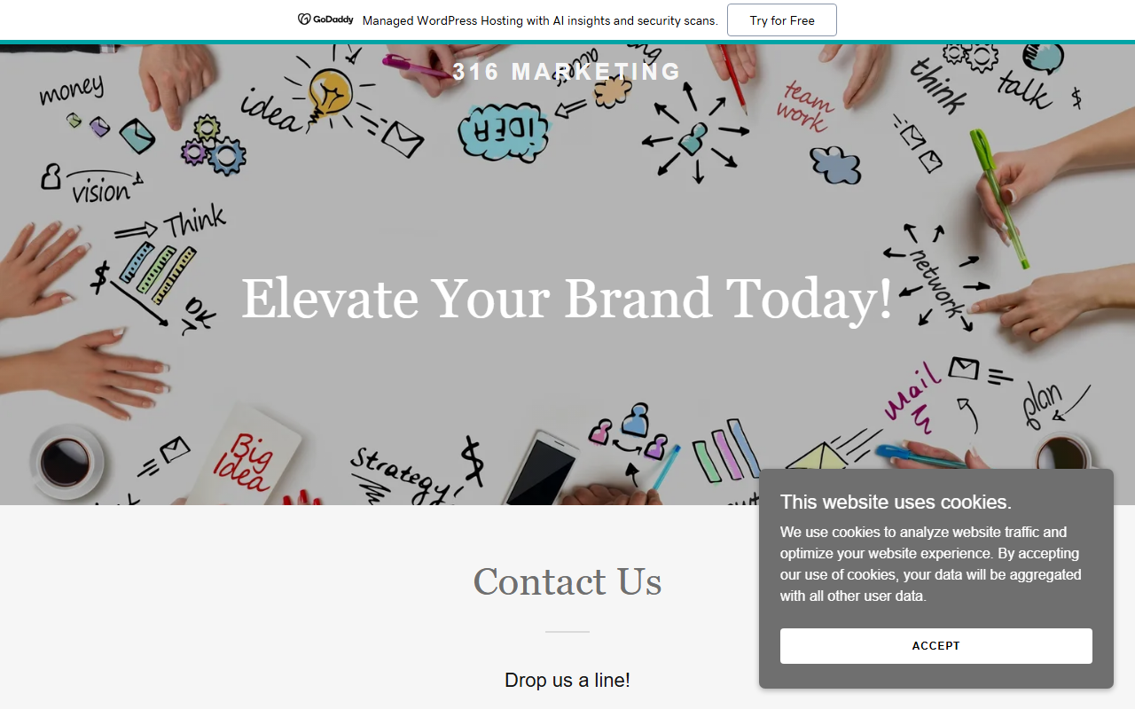 316-marketing.com screenshot