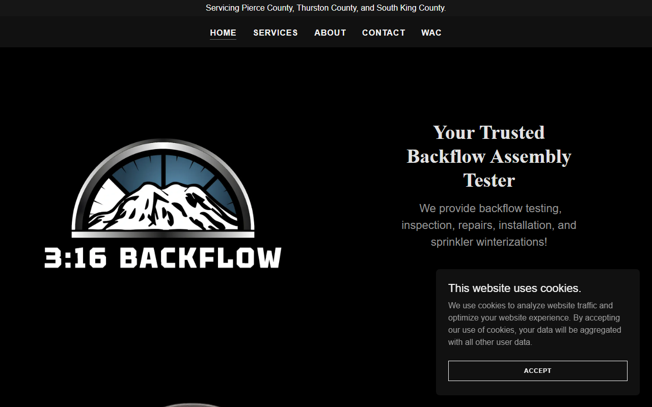 316backflow.com screenshot