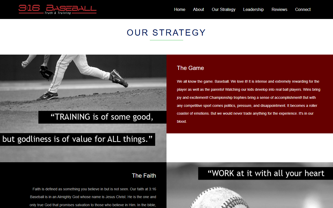 316baseball.com screenshot