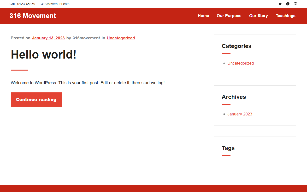 316movement.com screenshot