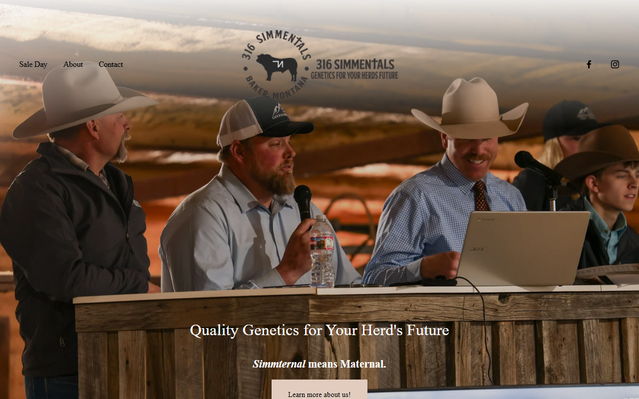 316simmentals.com screenshot