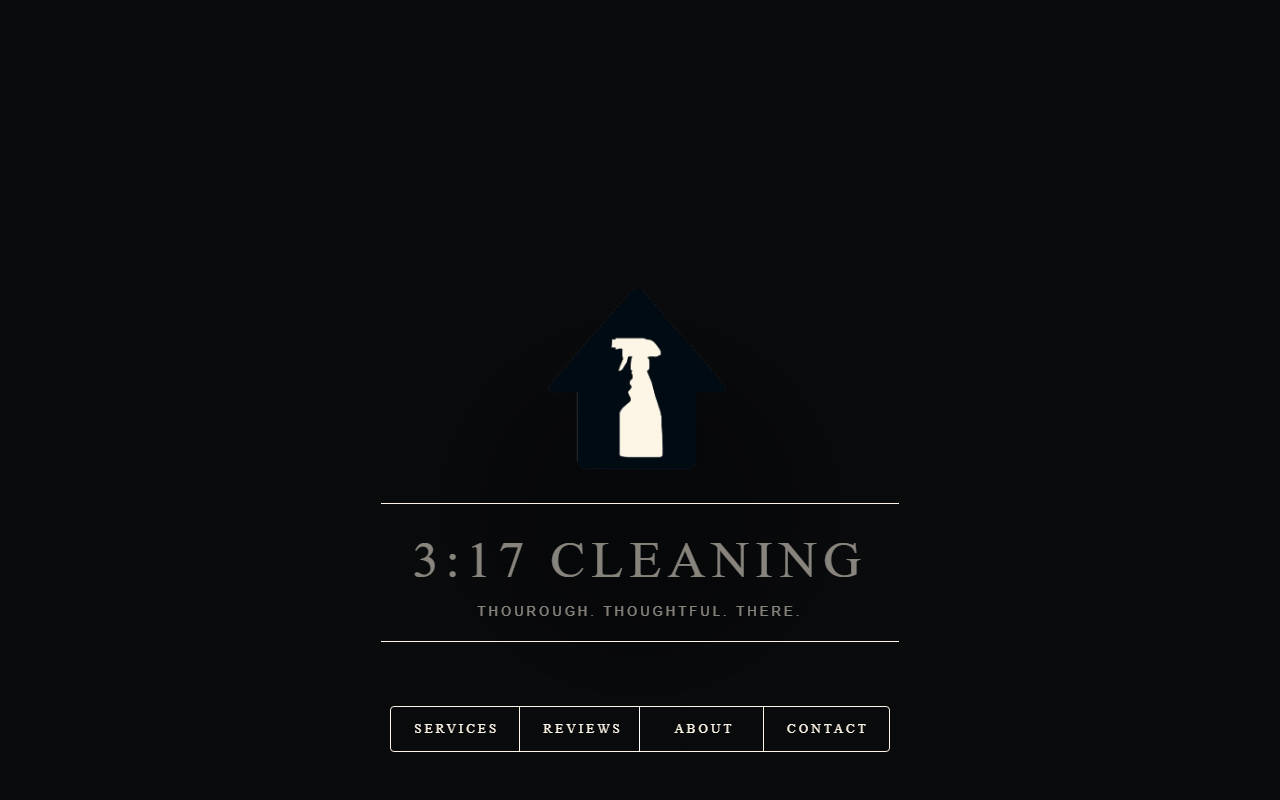 317cleaning.com screenshot
