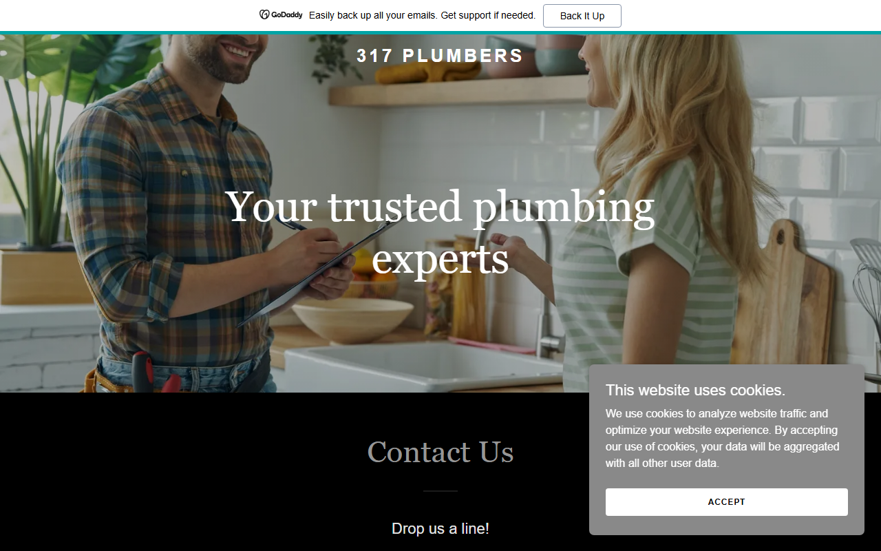 317plumbers.com screenshot