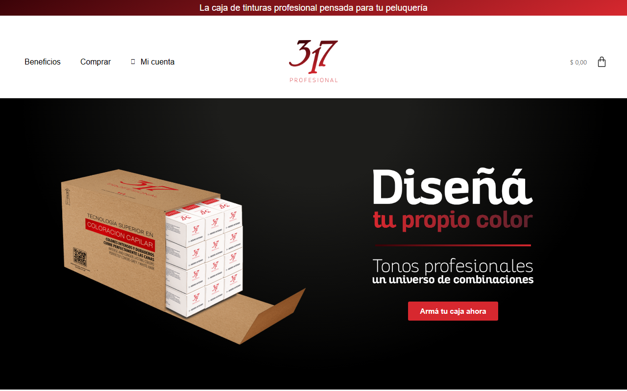 317profesional.com screenshot