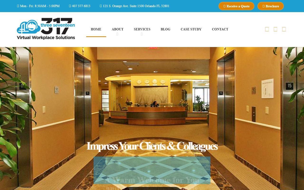 317virtual.com screenshot
