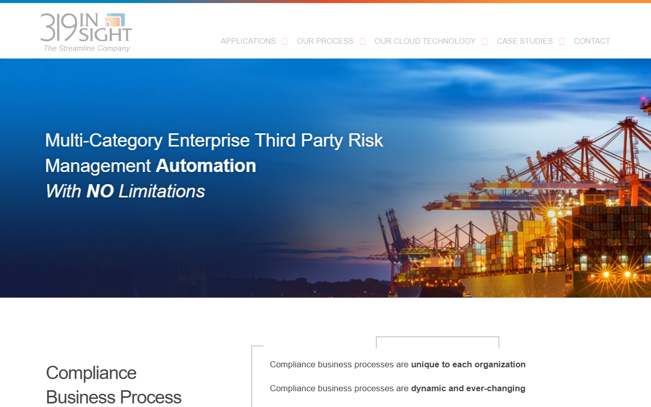 319insight.com screenshot