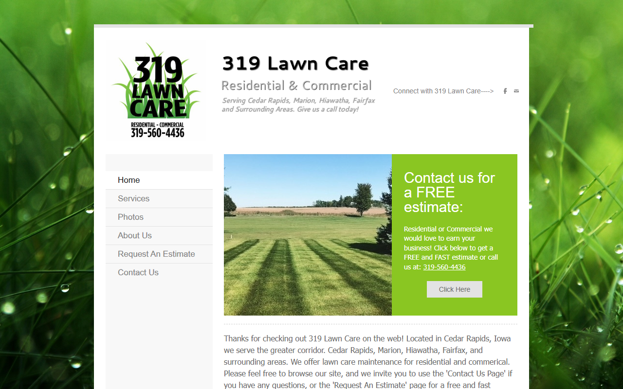 319lawncare.com screenshot