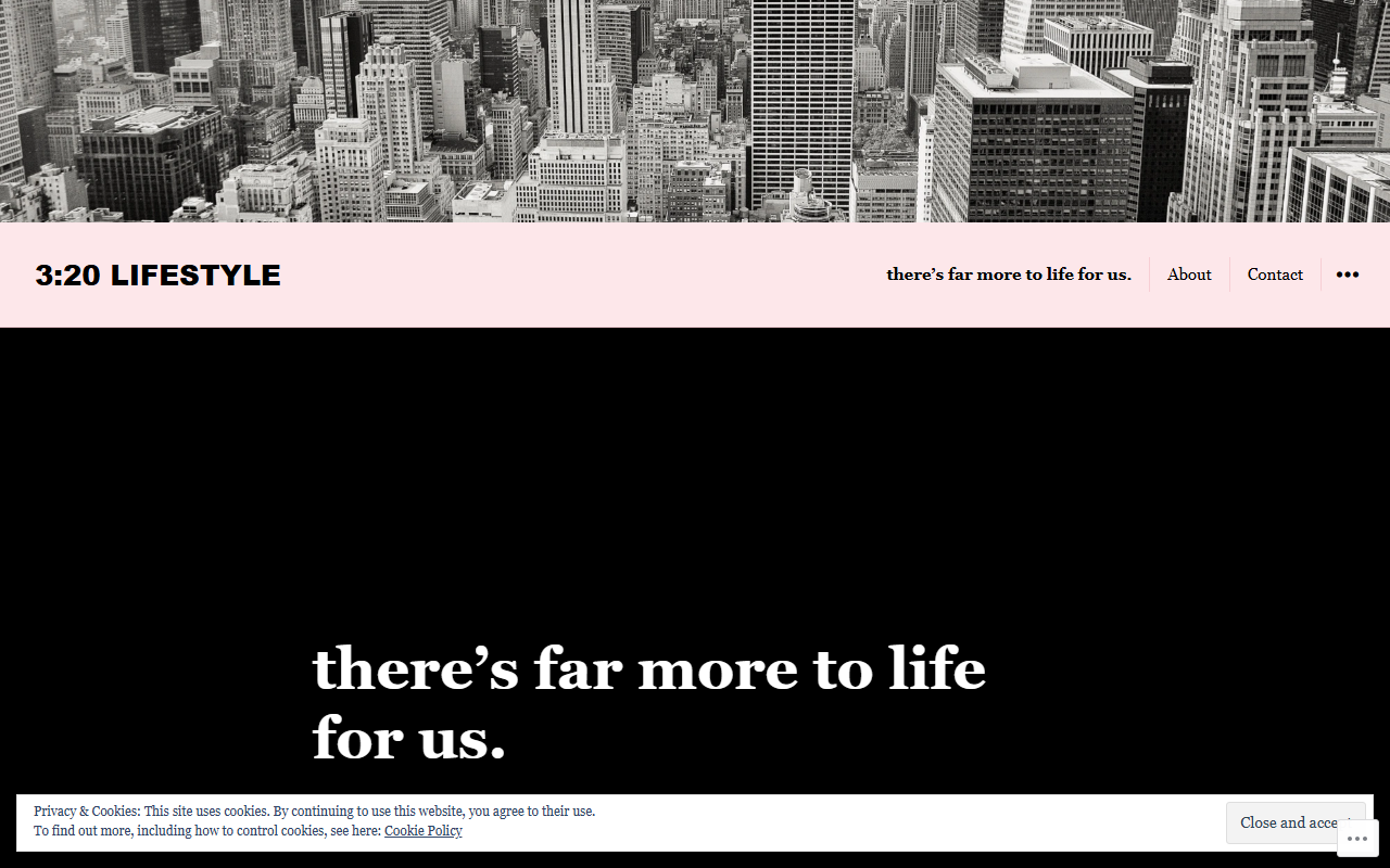 320lifestyle.com screenshot