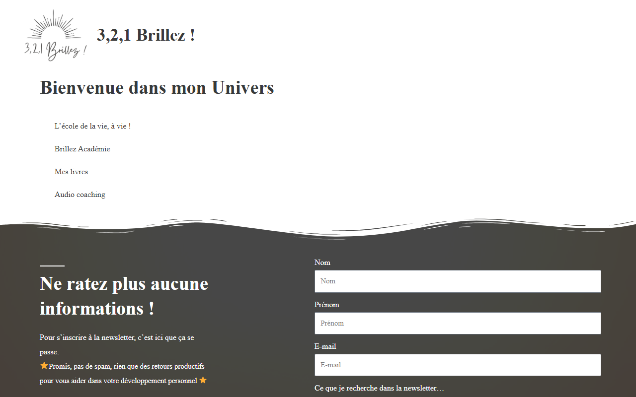 321brillez.com screenshot