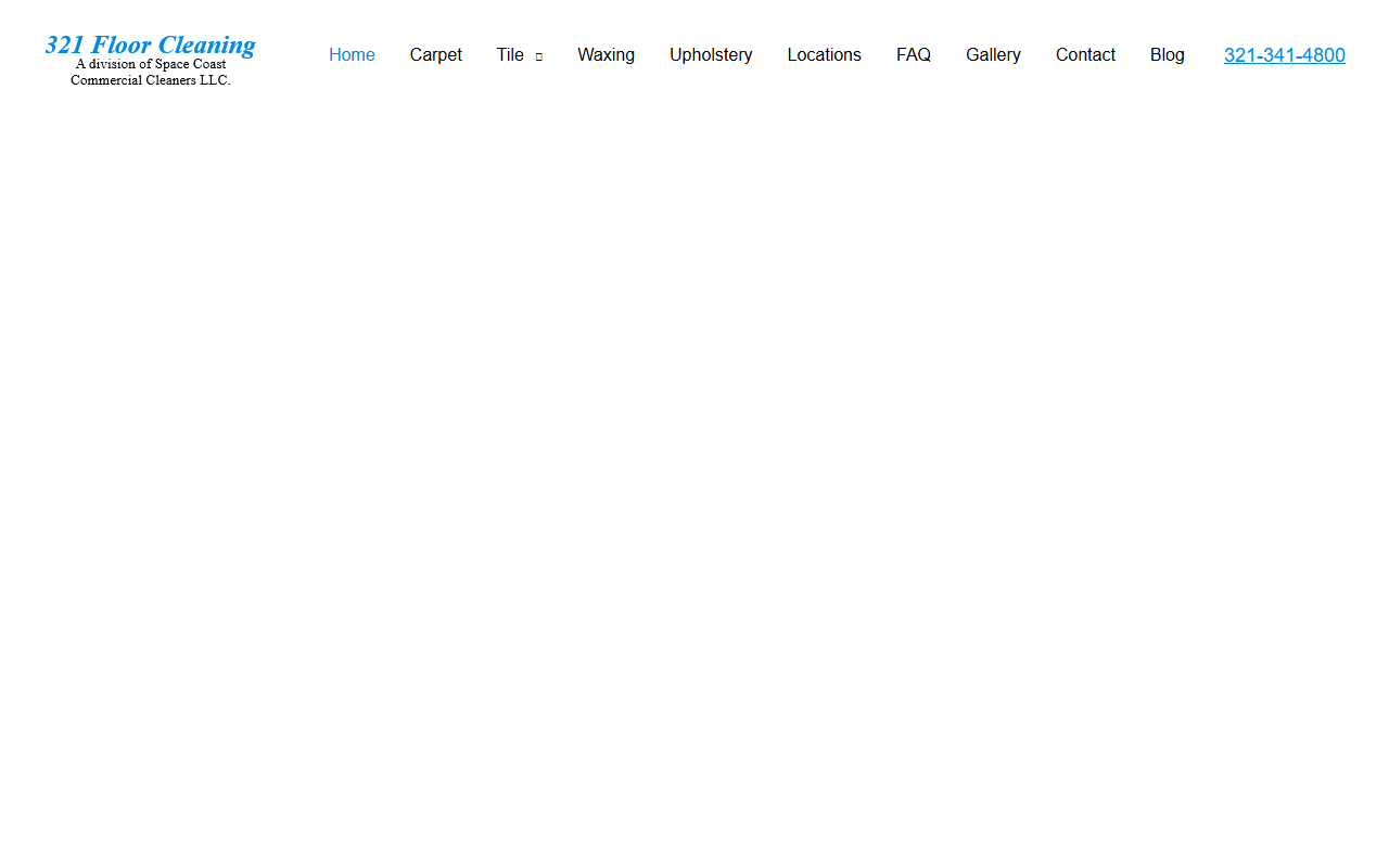 321floorcleaning.com screenshot