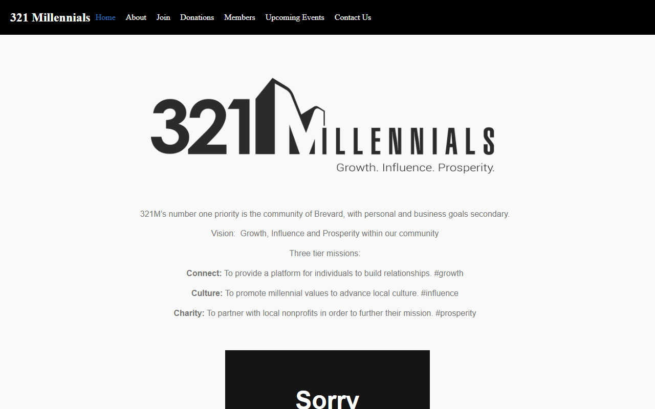 321millennials.com screenshot