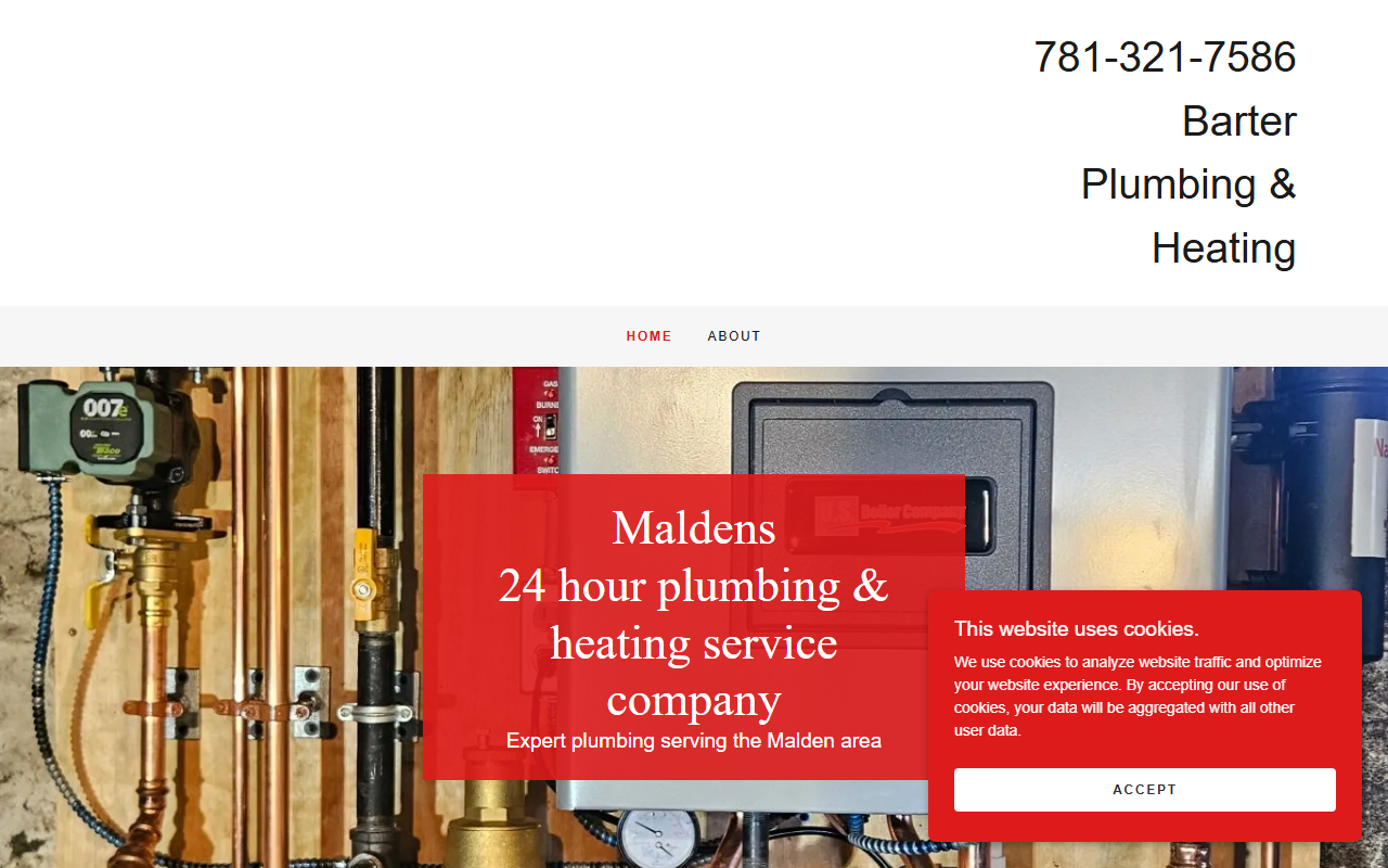 321plumbing.com screenshot