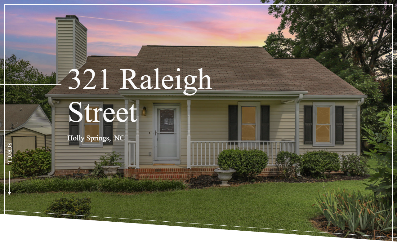 321raleighstreet.com screenshot