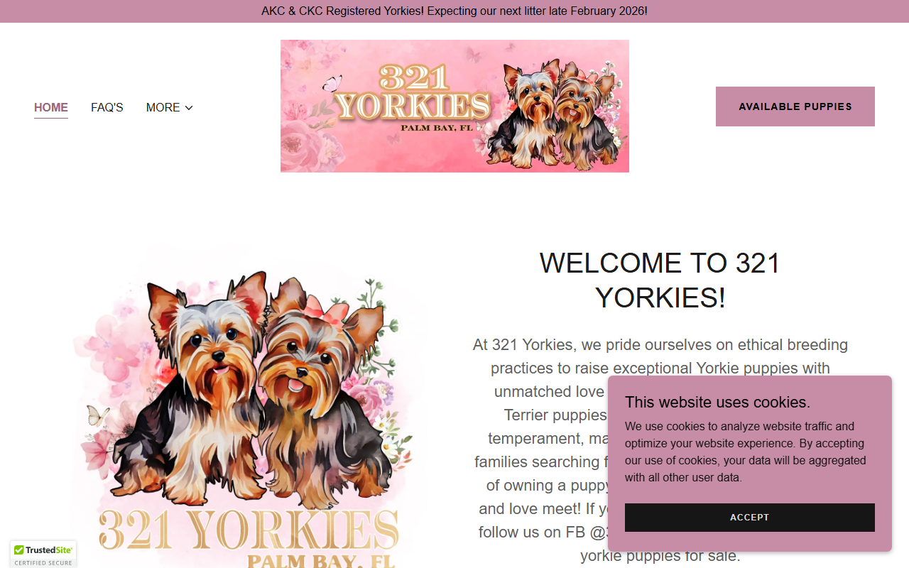 321yorkies.com screenshot