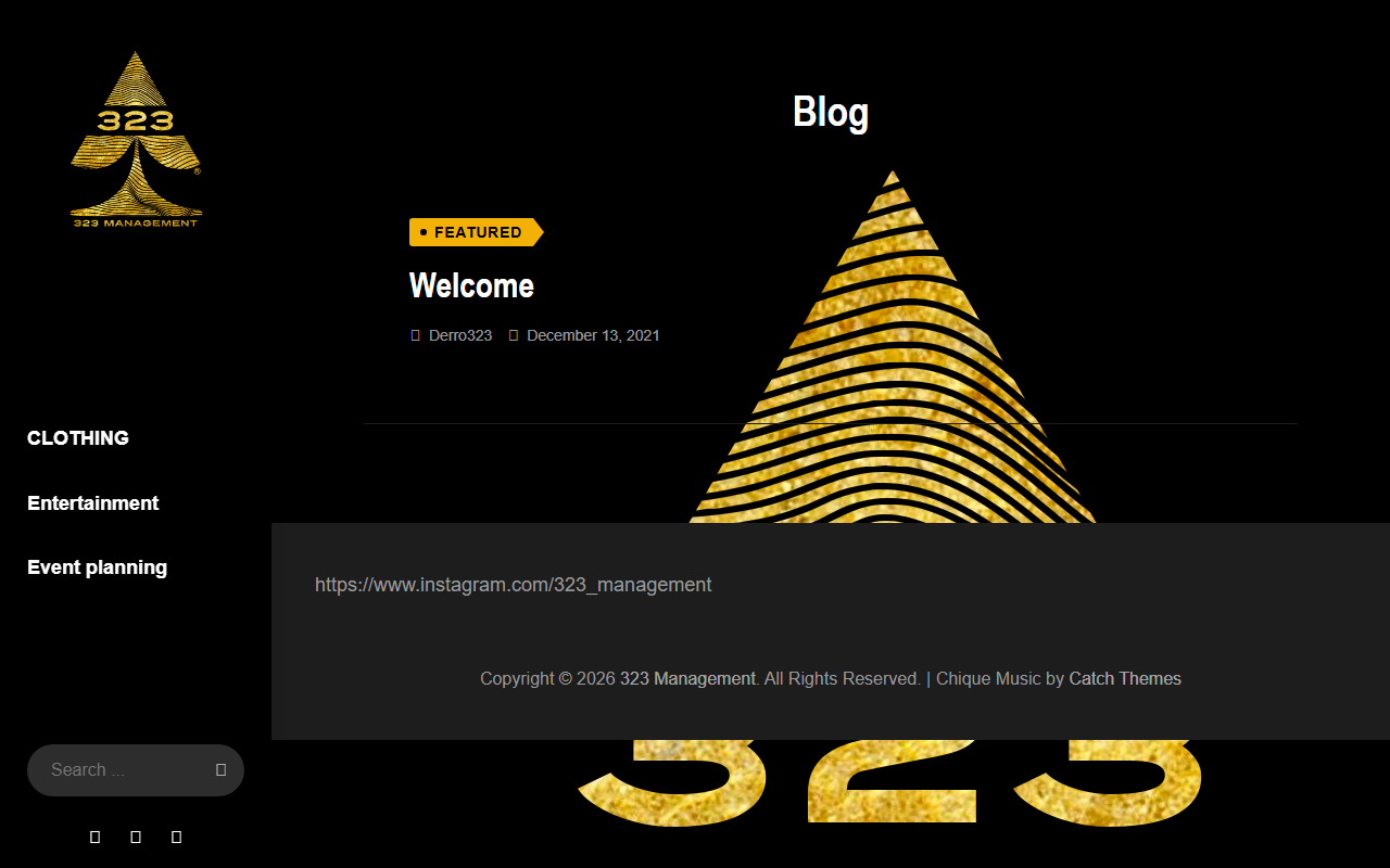 323management.com screenshot