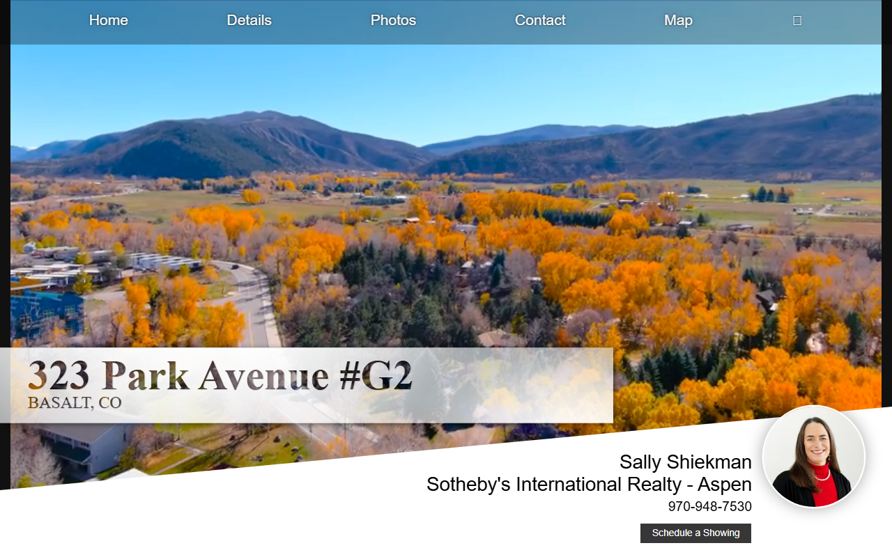 323parkavenueg2.com screenshot