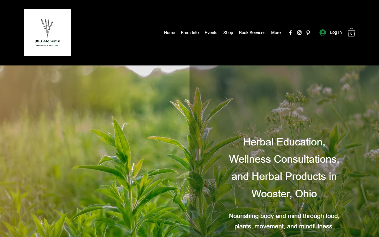 330alchemy.com screenshot