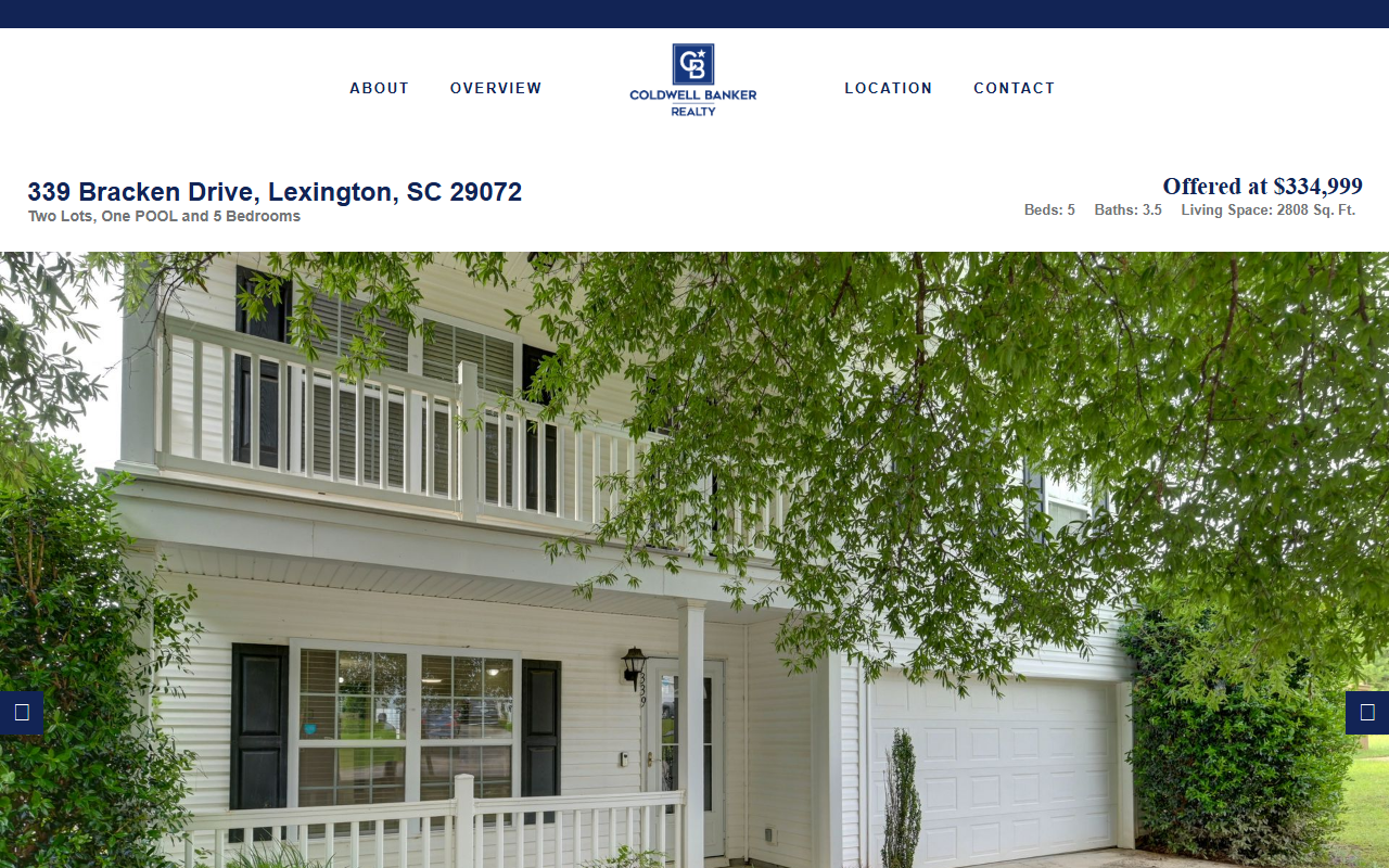 339brackendrive.com screenshot