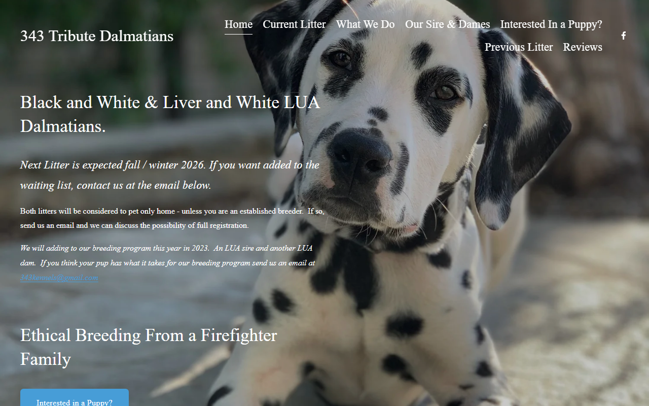 343dalmatians.com screenshot