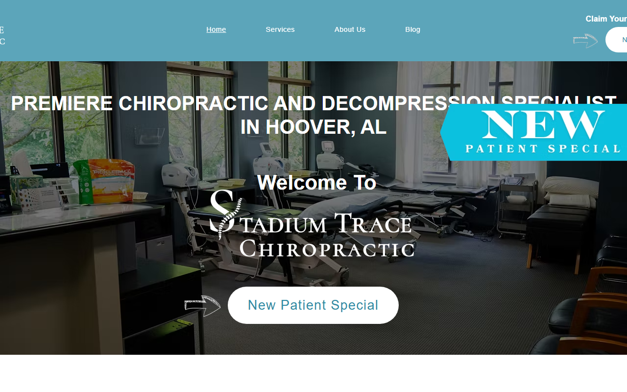 35244chiro.com screenshot