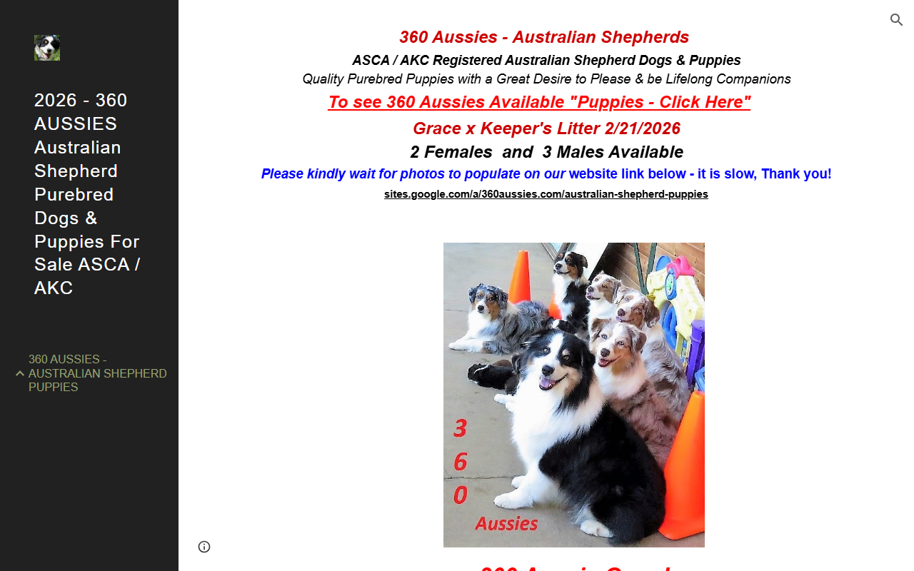 360aussies.com screenshot