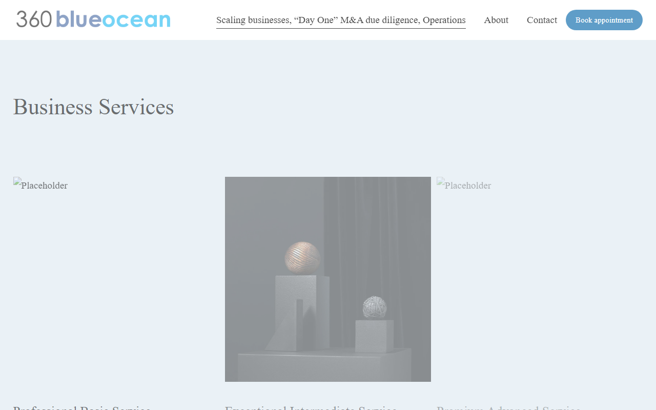 360blueocean.com screenshot
