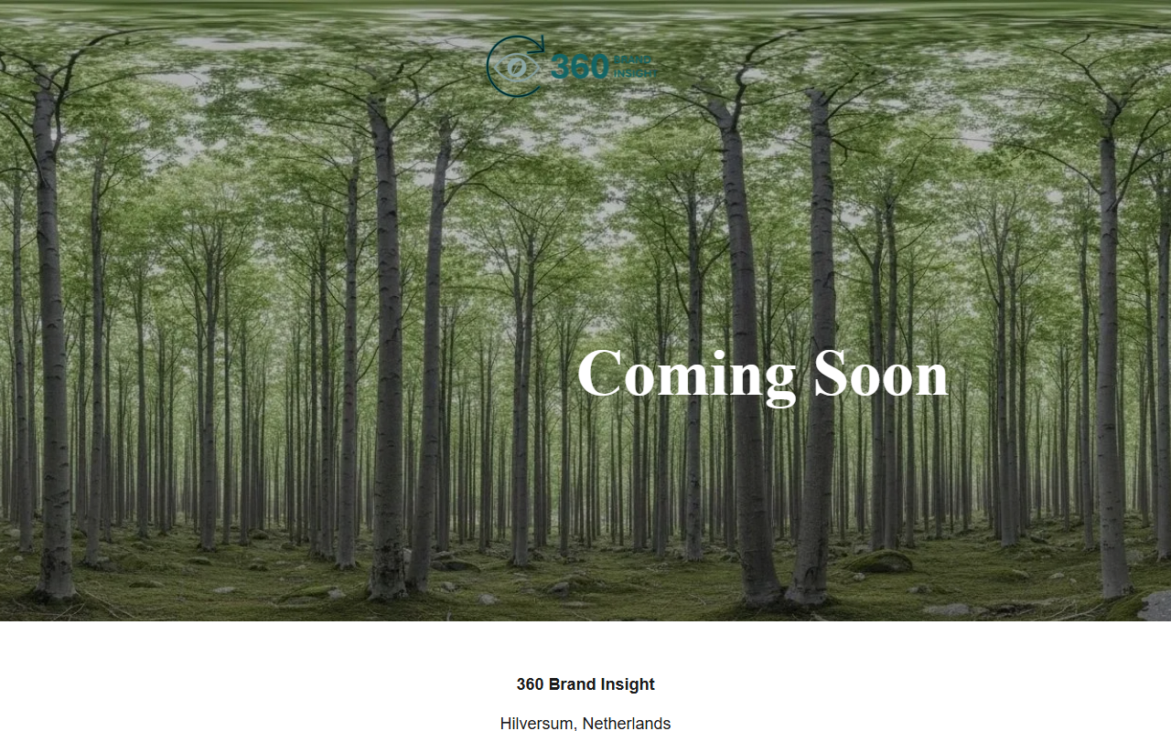 360brandinsight.com screenshot