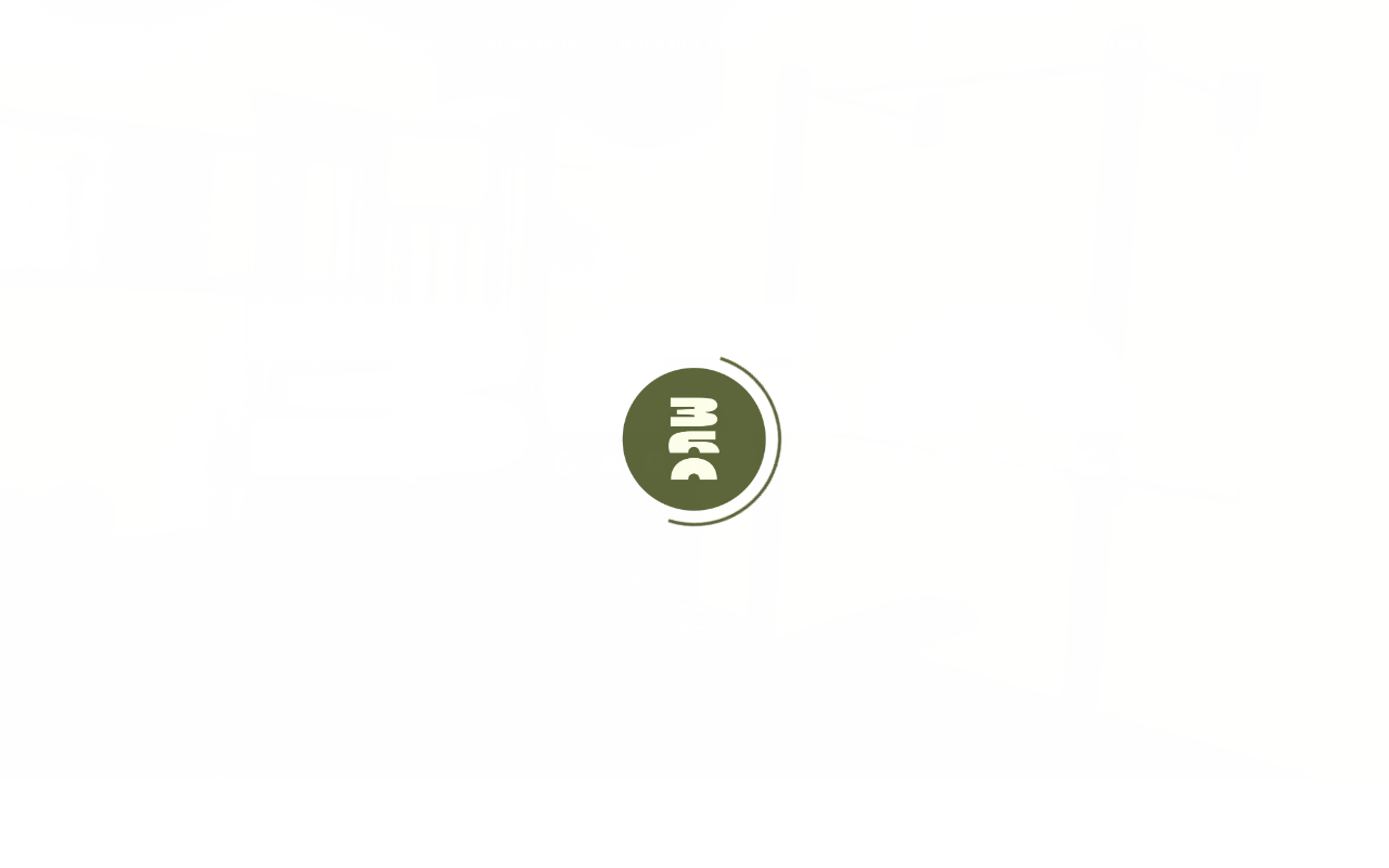 360carlossanchez.com screenshot