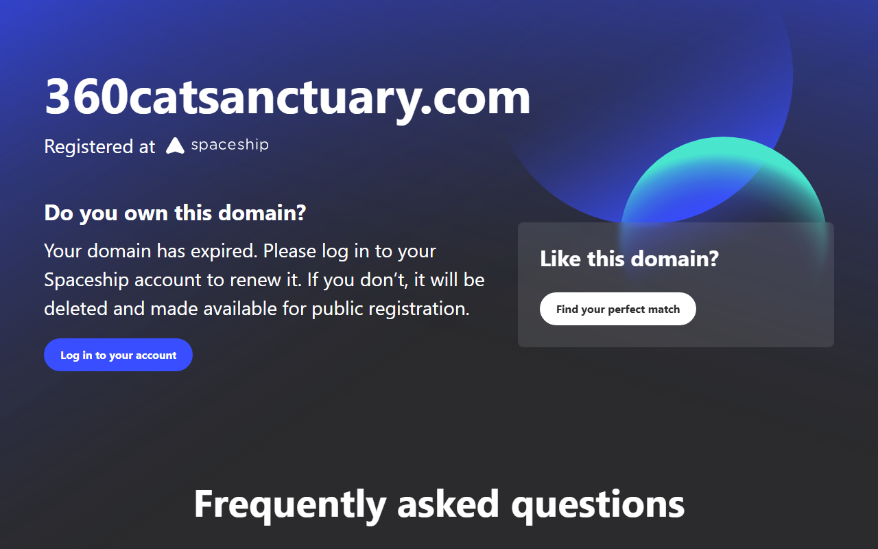 360catsanctuary.com screenshot