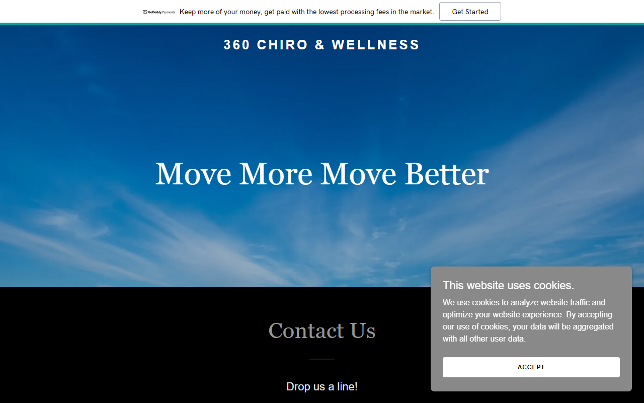 360chirowellness.com screenshot