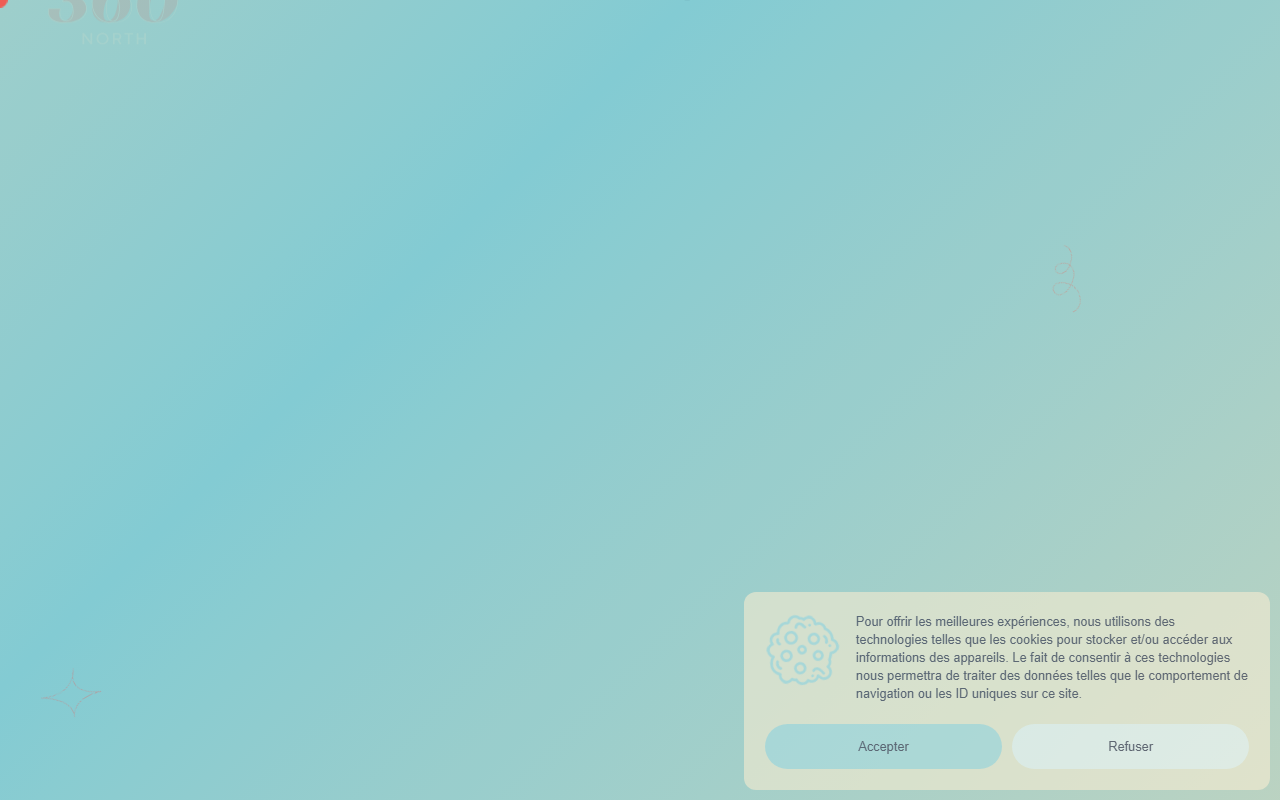 360degresnorth.com screenshot